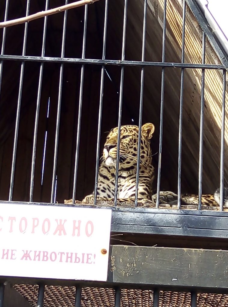 зоопарк в Васильевке