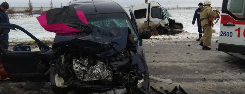 На заснеженной запорожской трассе столкнулись иномарка и микроавтобус: трое пострадавших, - ФОТО