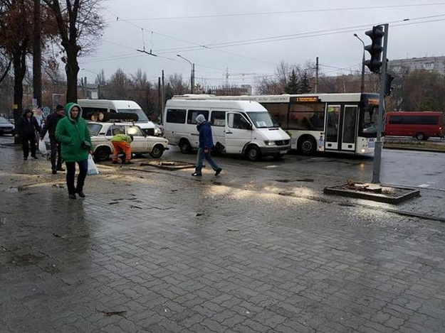 В Александровском районе вдоль проспекта Соборного начали пилить деревья: новые высадят только в следующем году