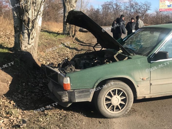 В Запорожской области водитель врезался в дерево, пытаясь избежать столкновения (Фото)