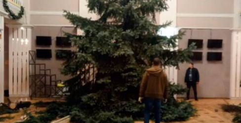В Запорожском театре молодежи хотели установить елки, спиленные возле здания