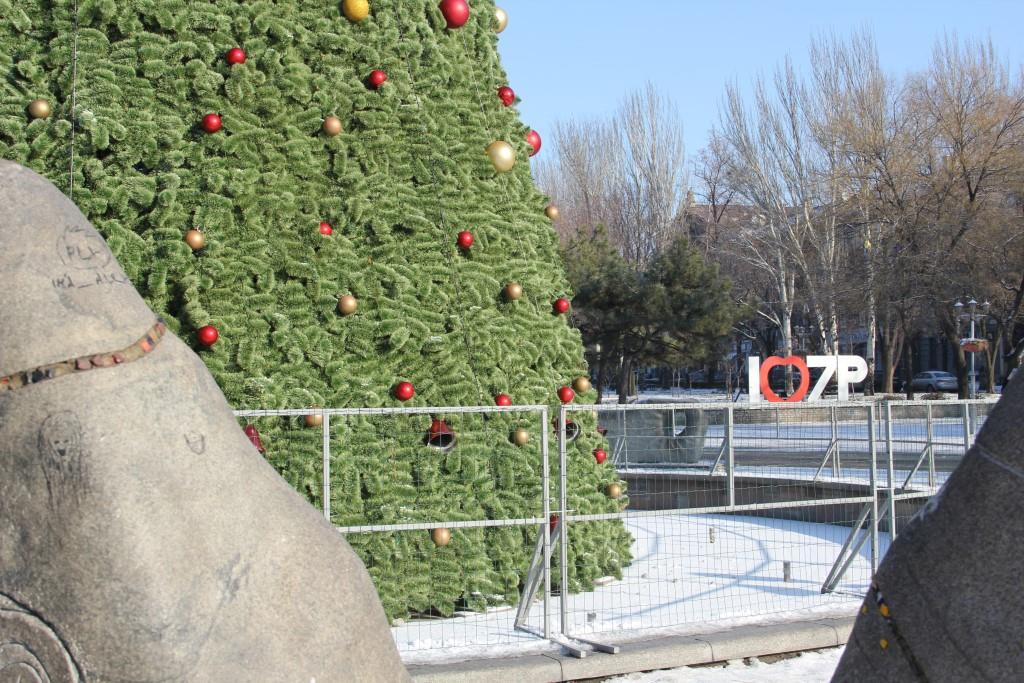 В центре Запорожья установили и украсили главную новогоднюю елку