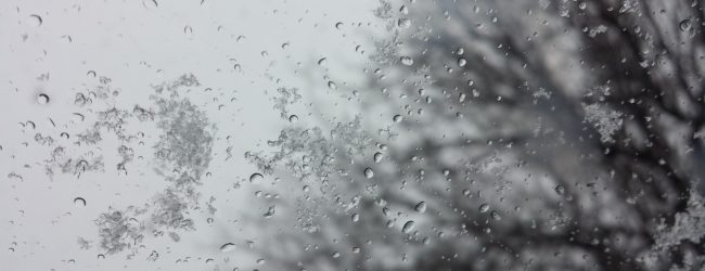 ГСЧС предупреждает об ухудшении погодных условий в Запорожье