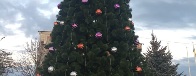 Запорожский курорт украшает шестиметровая елка