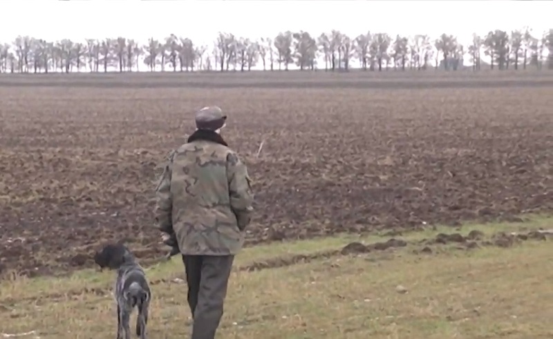На території Запорізької області введено заборону на полювання: подробиці