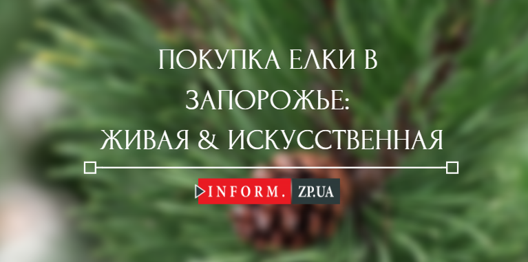 Покупка елки в Запорожье: какую выбрать, где и за сколько