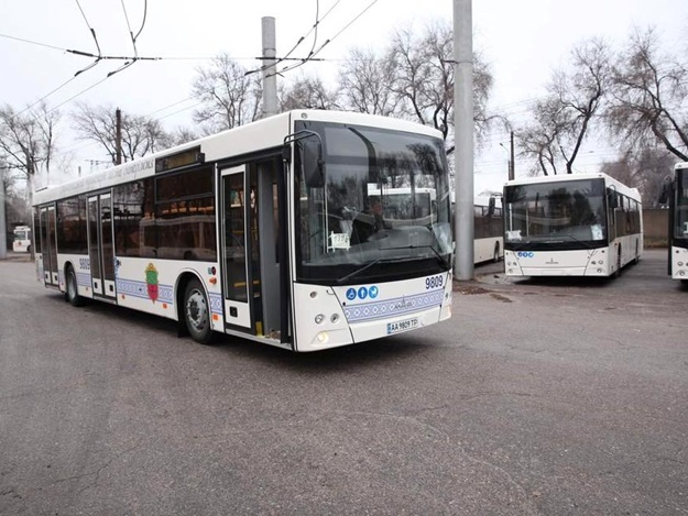 Пополнение автопарка: в Запорожье привезли партию новых вместительных автобусов