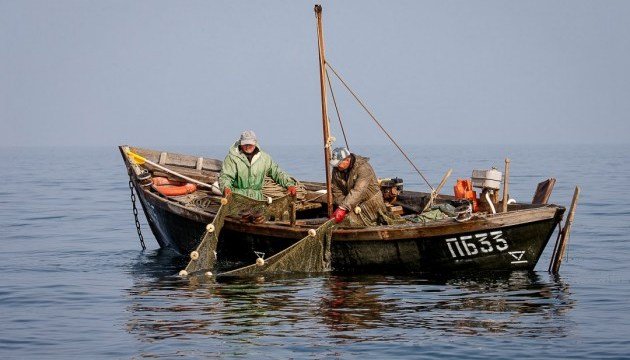 С 1 января промышленный вылов рыбы в Азовском море будет вне закона, - Госрыбагентство