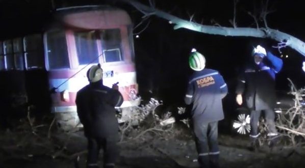 В Запорожье дерево рухнуло на трамвайные пути – Индустриалка