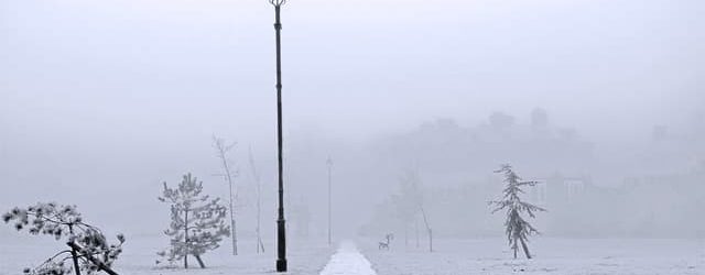 В Запорожской предупредили об опасности из-за тумана и гололедицы