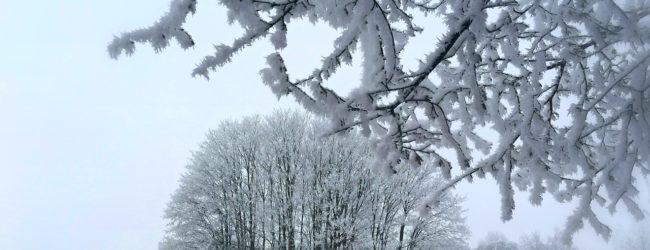 В Запорожье ожидается небольшой снег, гололёдица