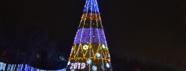 Новый год в Запорожье отметили с масштабными фейерверками (ВИДЕО)