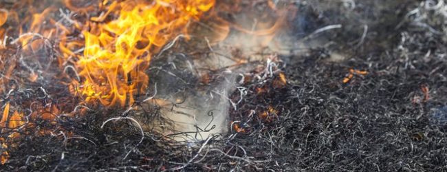 В Днепровском районе горел частный дом