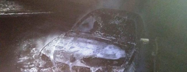 В Запорожской области ночью воспламенилась иномарка (ФОТО)
