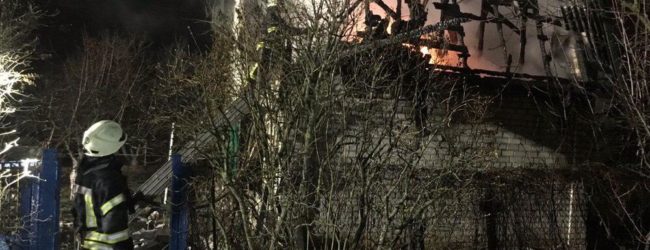 Запорожские спасатели потушили сильный пожар в дачном кооперативе