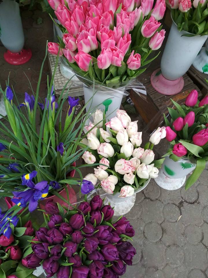 тюльпаны - самые популярные весенние цветы