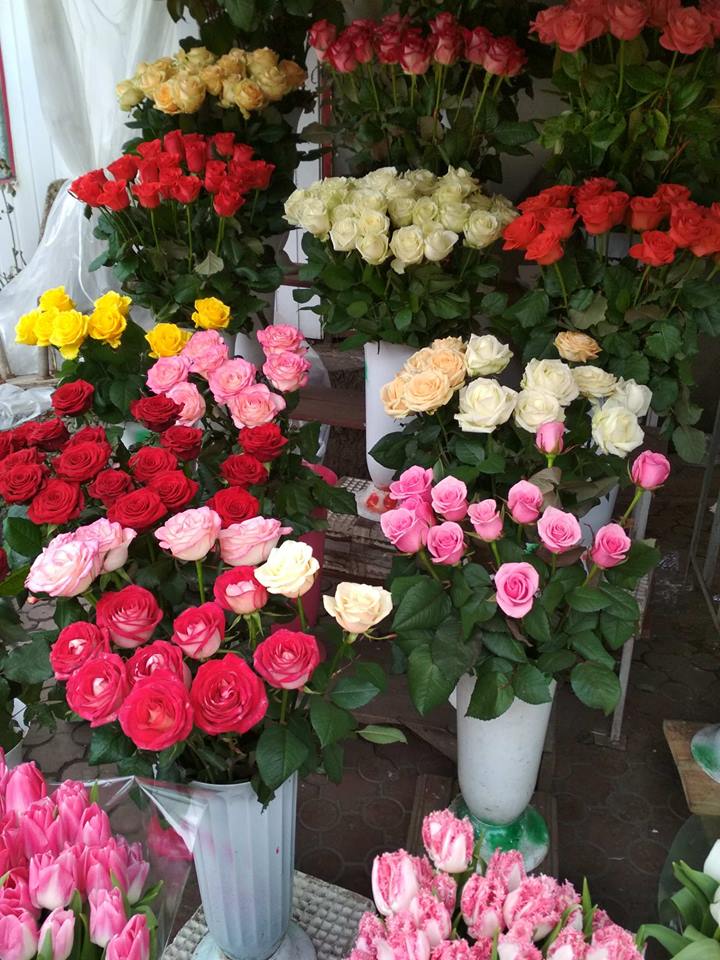 Розы - от 25 грн за 1 шт