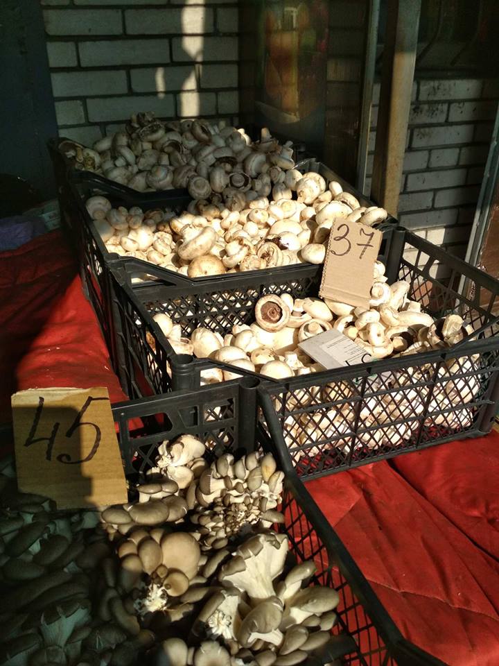 цены на грибы