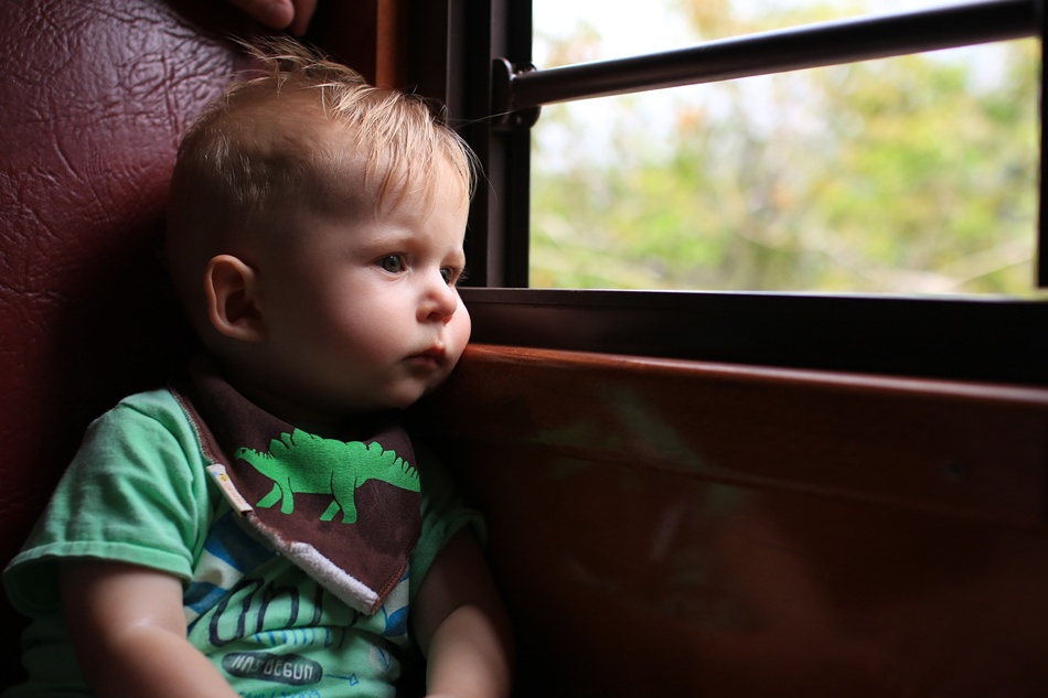 Как путешествовать с ребенком на поезде. источник фото: pixabay