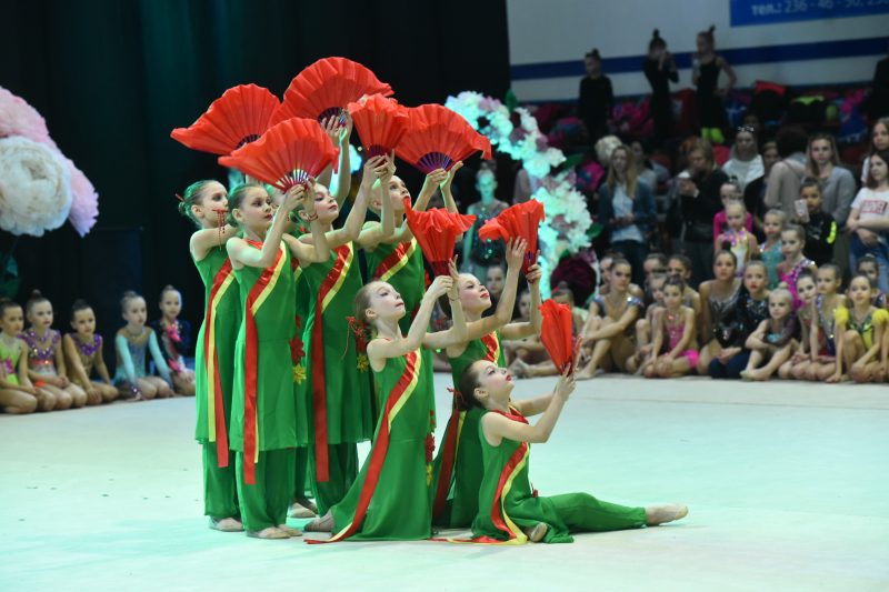 Всеукраинский чемпионат по художественной гимнастике «Maksy Cup»
