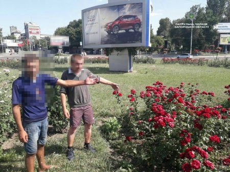 В Запорожье задержали мужчин, которые срывали цветы на клумбе