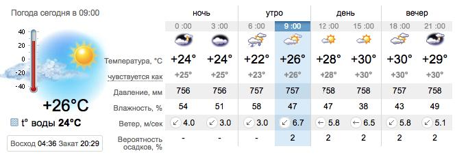 Погода в Бердянске на 13 июня. sinoptik.ua