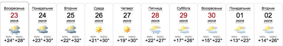 Погода в Запорожье в конце июня. / sinoptik.ua