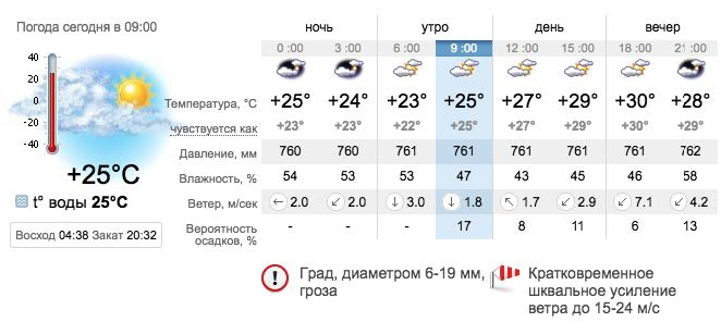 Погода в Бердянске на 25 июня. sinoptik.ua