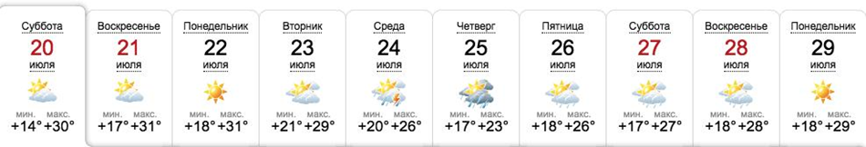 Погода в Запорожье в конце июля / sinoptik.ua
