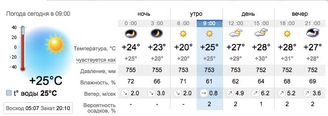 Погода в Бердянске на 29 июля. sinoptik.ua