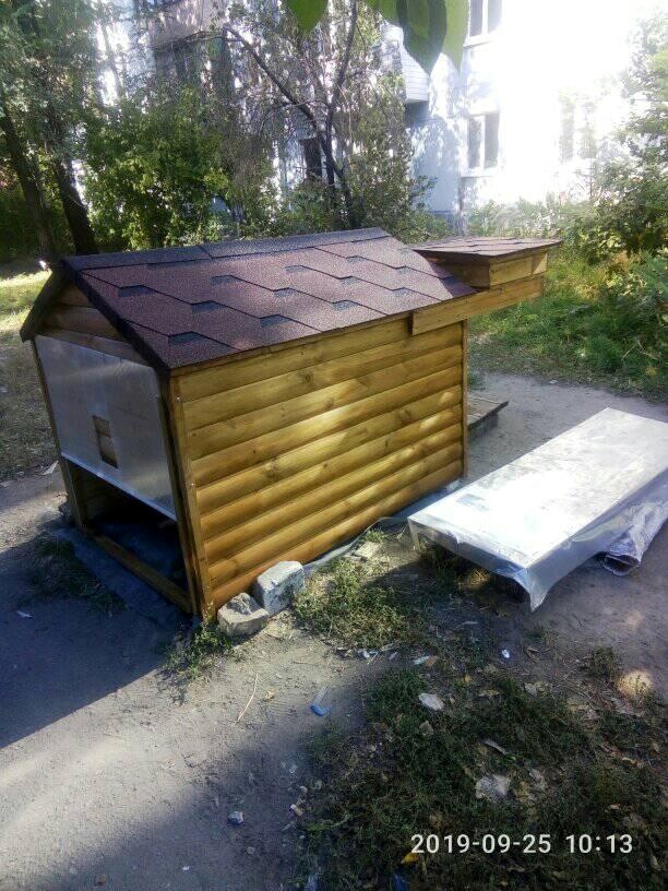 В одном из районов города построили домик для бездомных кошек. Фото: fb Дарья Бабочкина