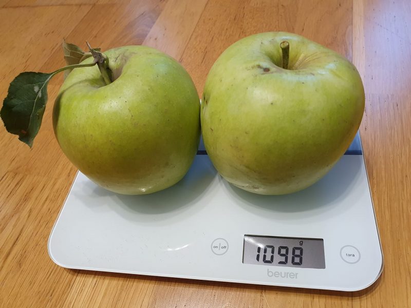 гигантские яблоки