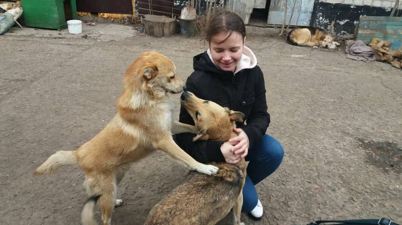 Школьники Запорожья и Бердянска побывали в приюте для животных
