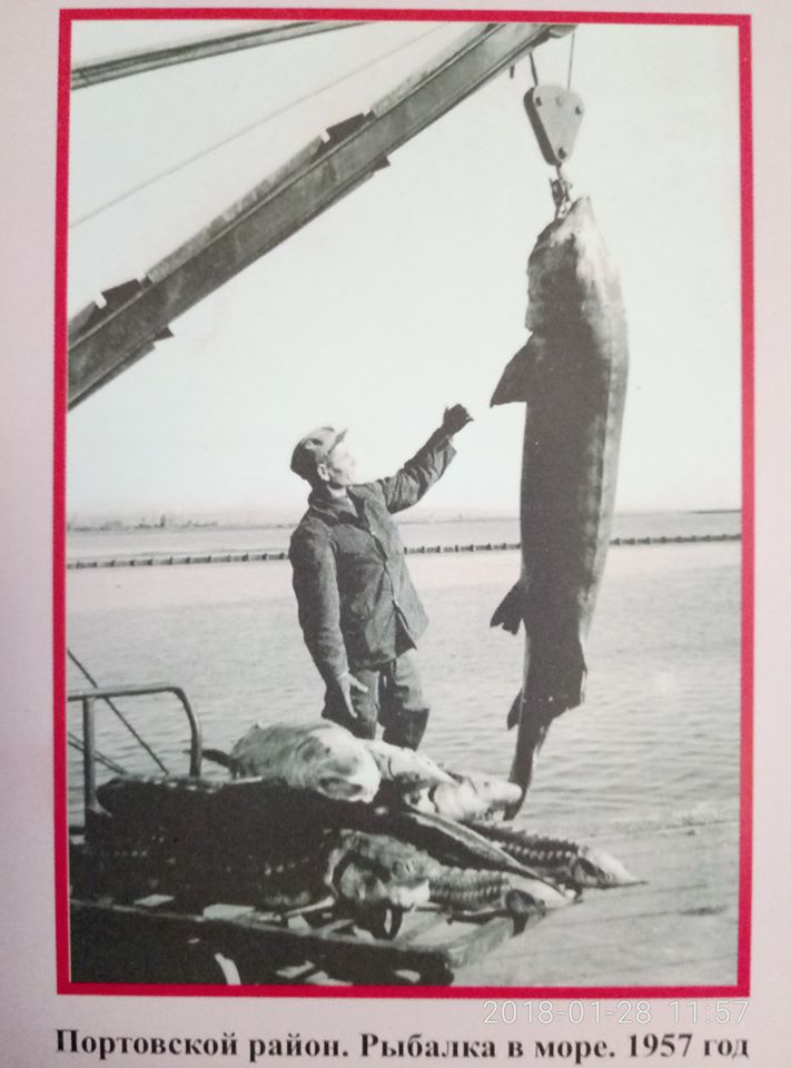 Рыбалка в море - 1957 год