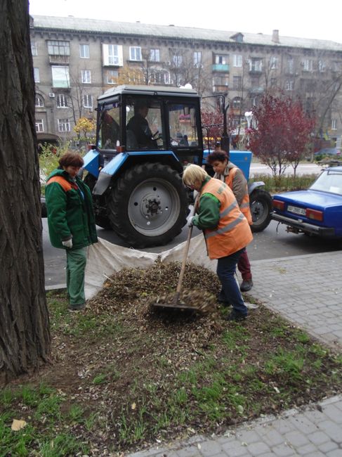 Убирают листья на проспекте Маяковского