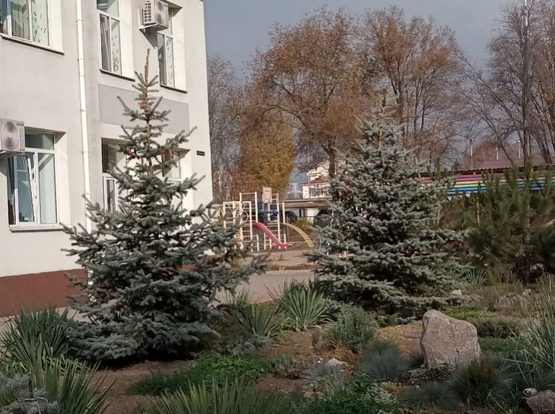 В Запорожье озеленили детские сады