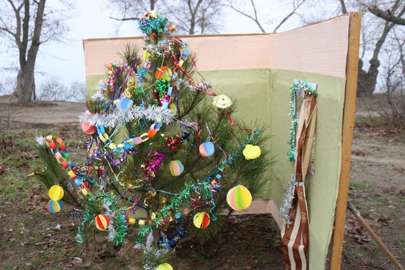 В Запорожье показали какой опасной может быть пиротехника вблизи новогодней елки - фото