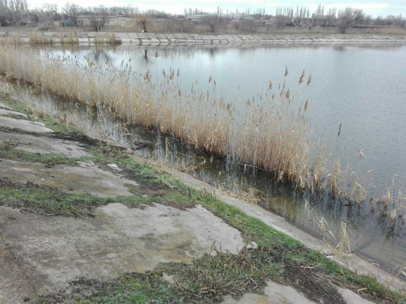 В Мелитопольском районе в ставке обнаружили труп мужчины