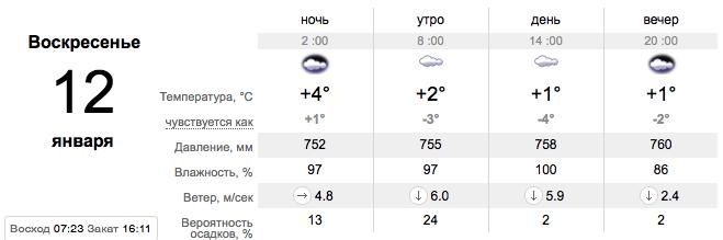 Погода в Запорожье на 12 января / sinoptik.ua