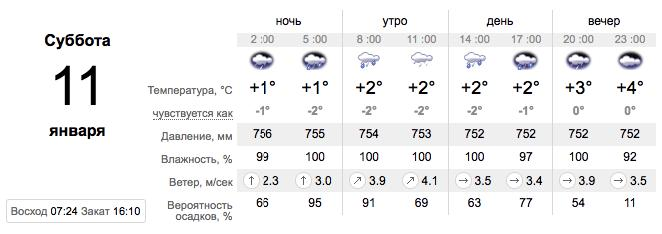 Погода в Запорожье на 11 января / sinoptik.ua