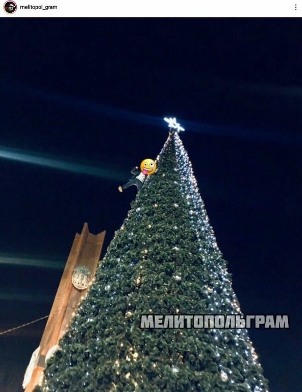 В Мелитополе мужчина залез на елку / фото: @melitopol_gram
