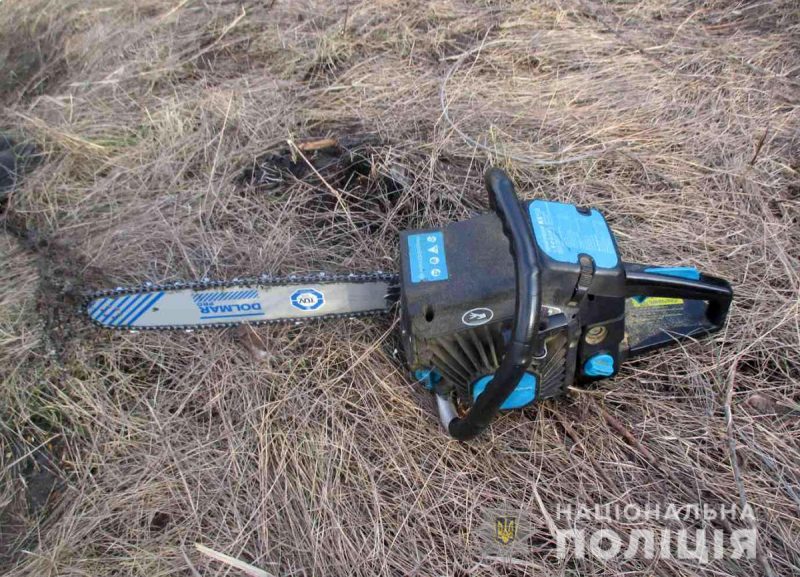 В Запорожской области незаконно рубили лес на дрова