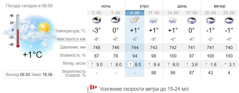 Погода в Запорожье 11 февраля / sinoptik.ua