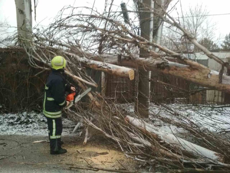 Спасатели продолжают убирать поваленные деревья в городе. Фото: ГСЧС