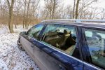 Игорю Лаврову разбили стекло в машине
