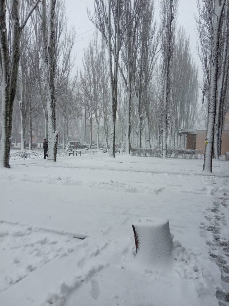 В Мелитополе снегопад начался ночью и не прекращается