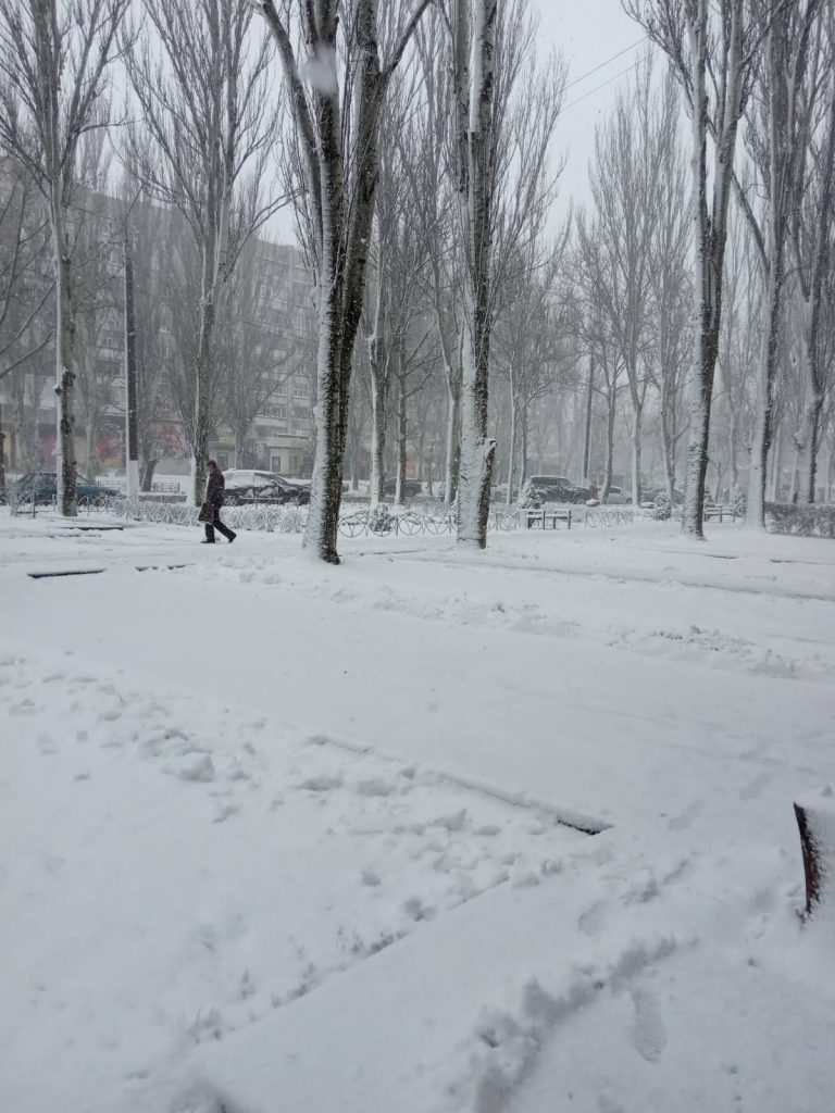 В Мелитополе снегопад начался ночью и не прекращается