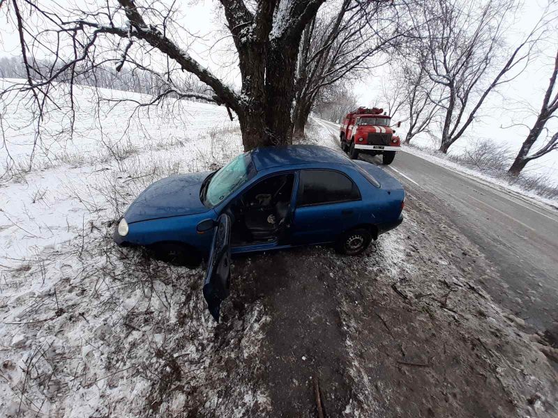В Запорожской области водитель врезался в дерево и получил травмы