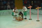 в Запорожском цирке ледовое шоу