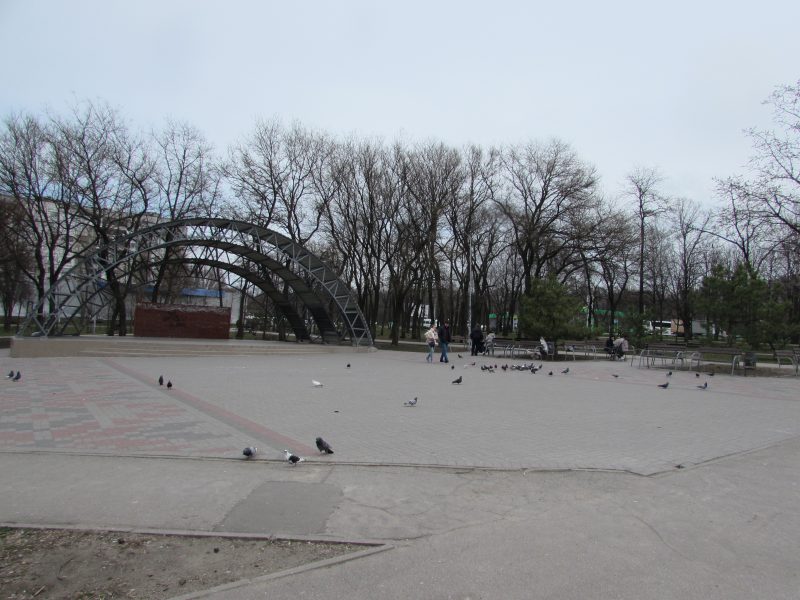 голуби в сквере Бочарова